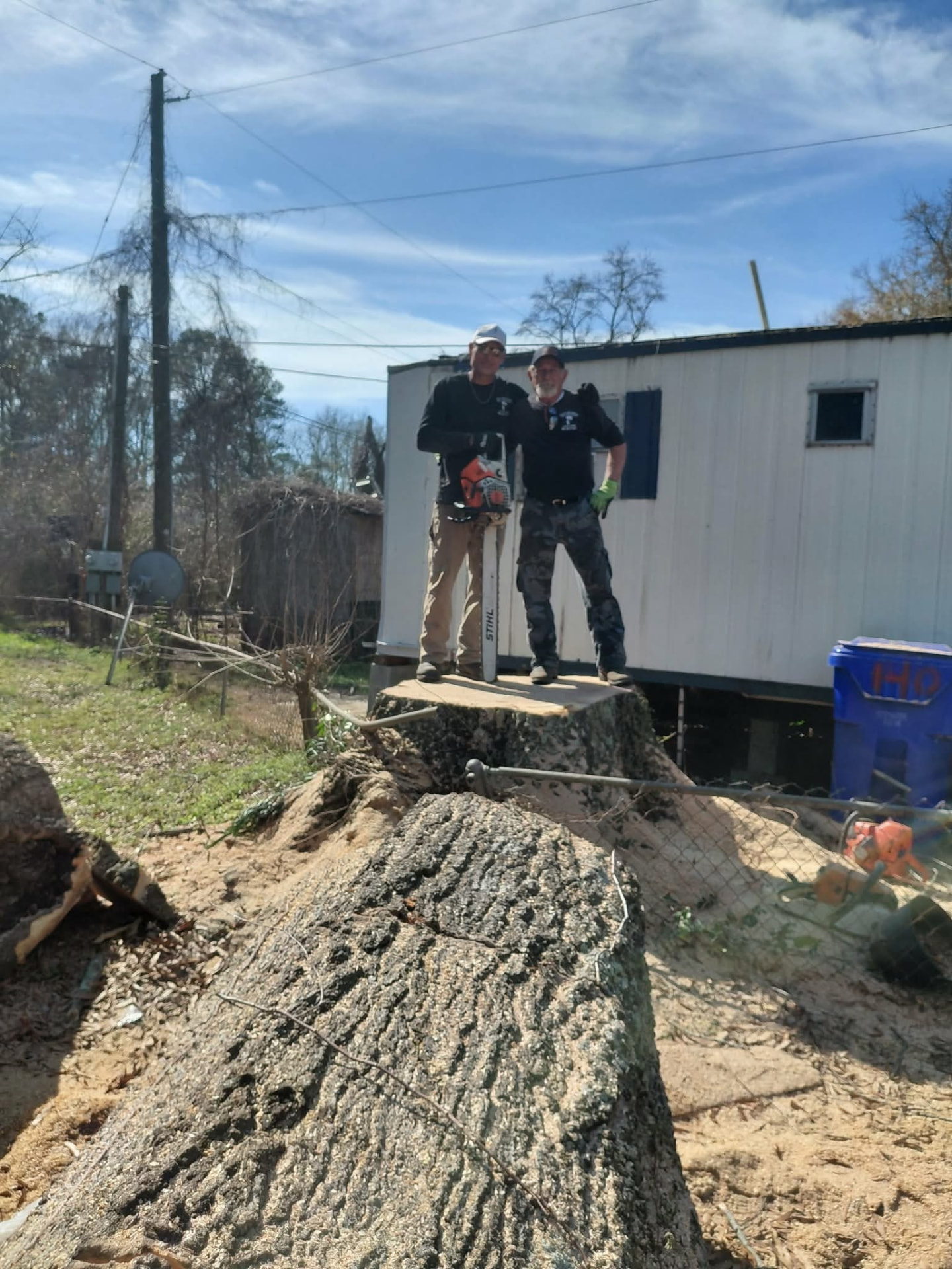Large stump cut flush — Stacks Tree Service, Summerville SC