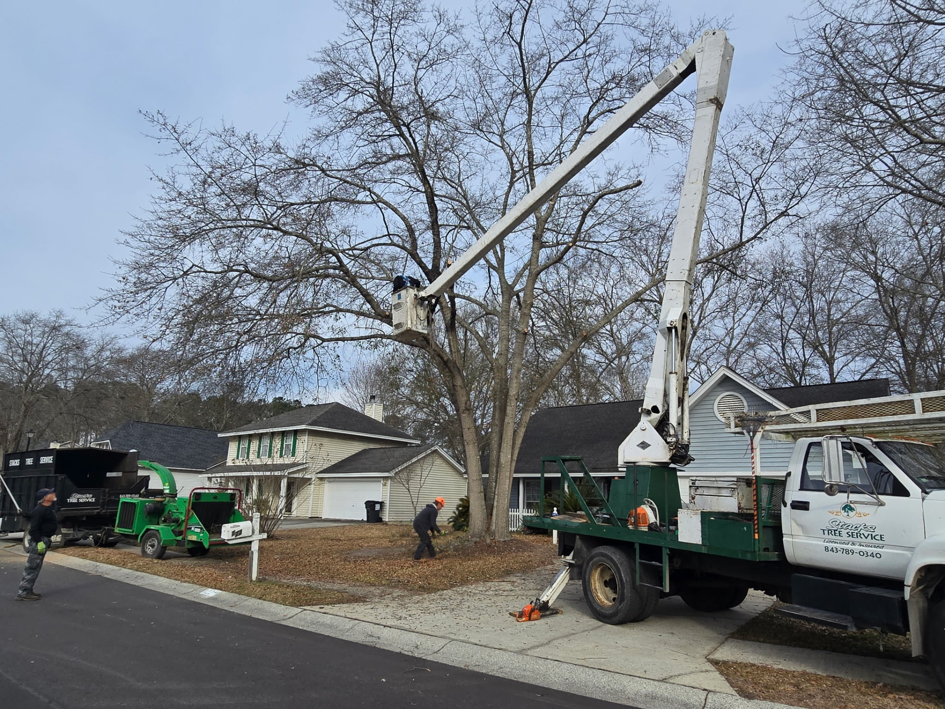 Neighborhood tree trimming — Stacks Tree Service, Summerville SC