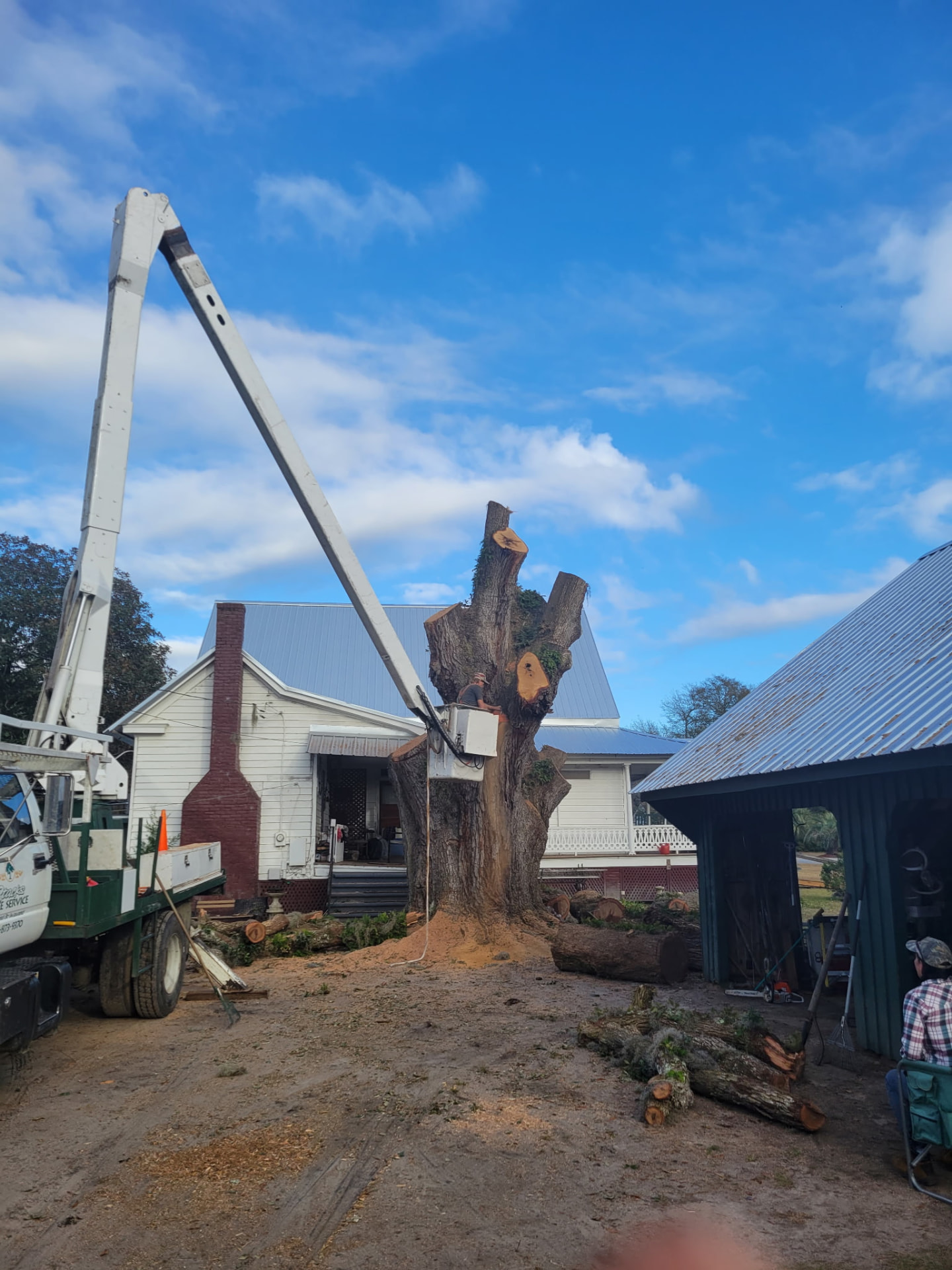 Heritage oak takedown beside a farmhouse — Stacks Tree Service, Summerville SC