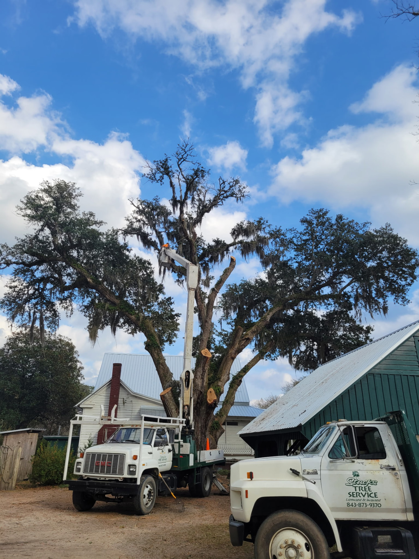 Live oak trimming with bucket truck — Stacks Tree Service, Summerville SC