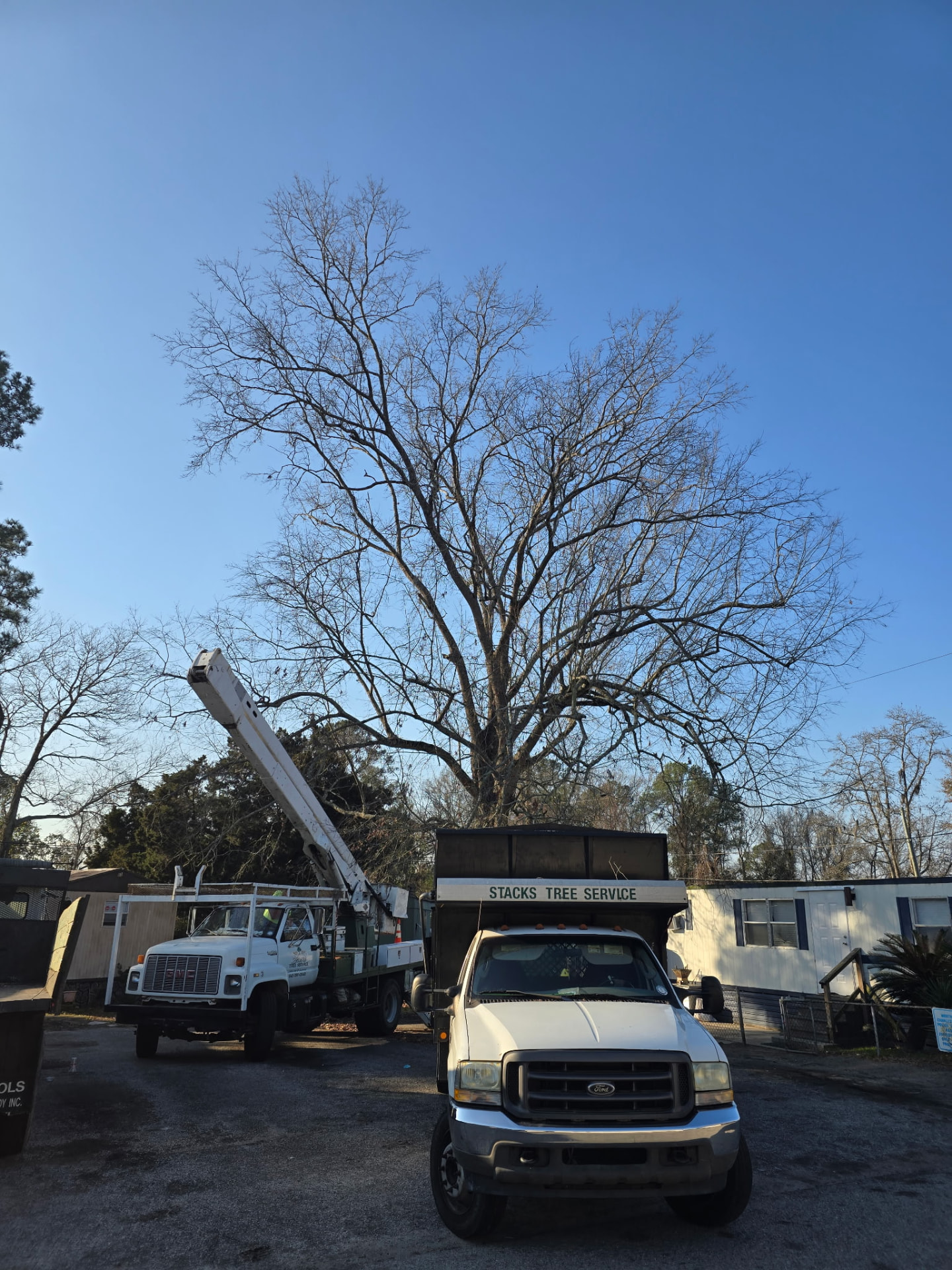 Stacks Tree Service bucket truck and dump truck staged for a Summerville tree job